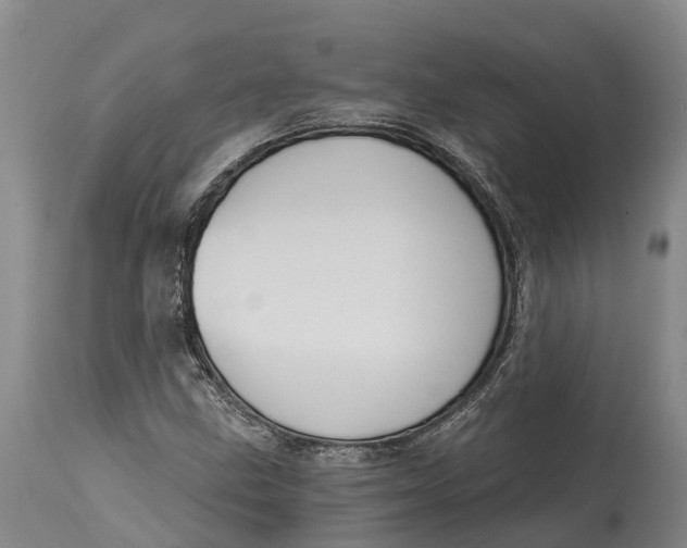 X0000115111211200911171257