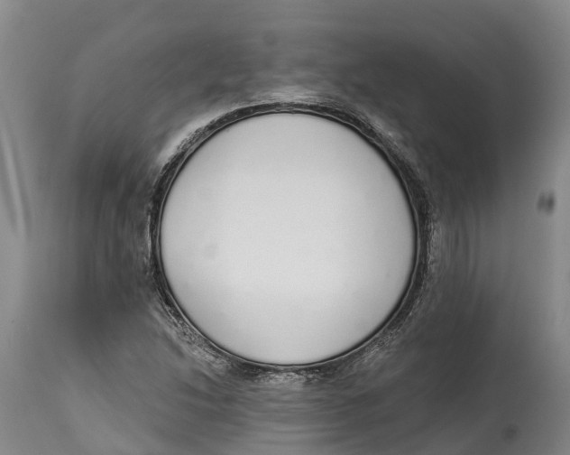 X0000115111214200911171257
