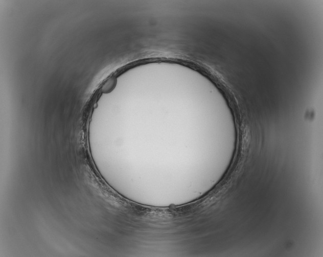 X0000115111215200911171257