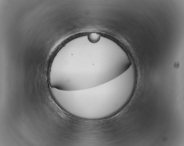 X0000115111216200911171257