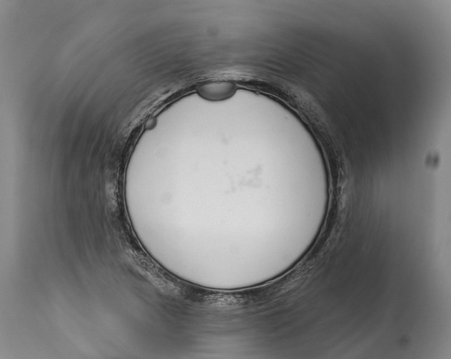X0000115111217200911171257