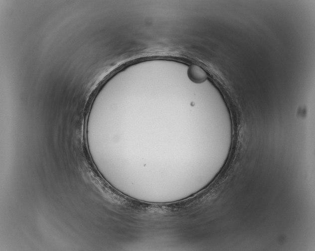 X0000115111220200911171257
