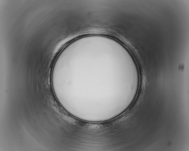 X0000115111222200911171257