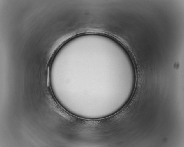 X0000115111223200911171257