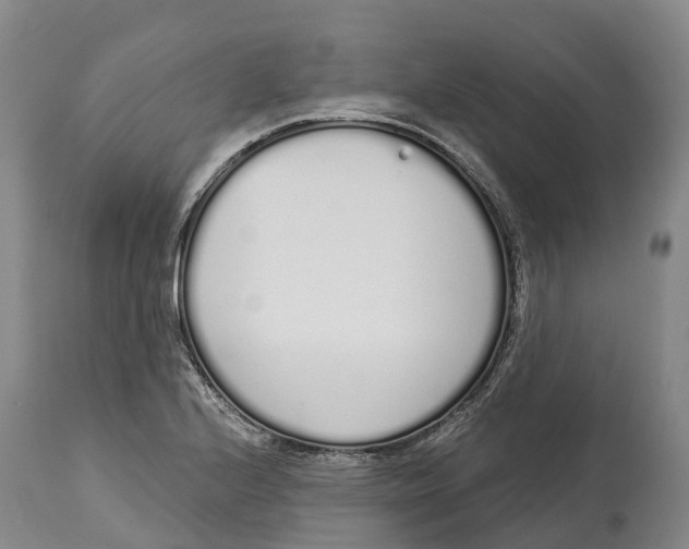 X0000115111224200911171257