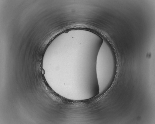 X0000115111225200911171257