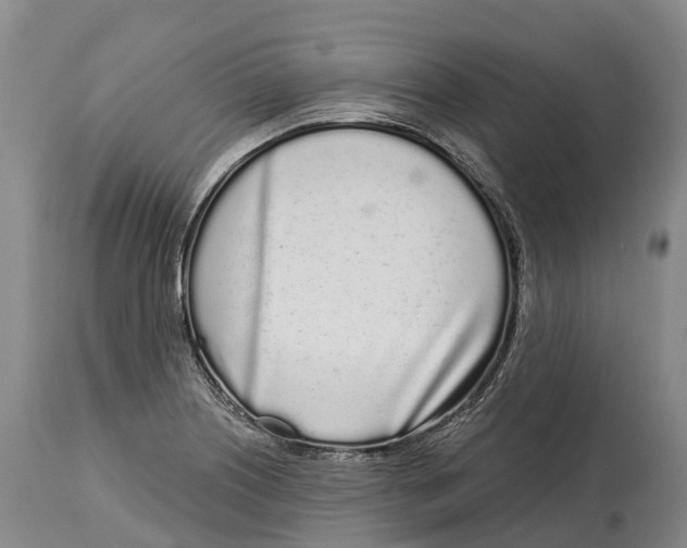 X0000115111226200911171257