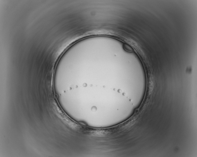 X0000115111228200911171257
