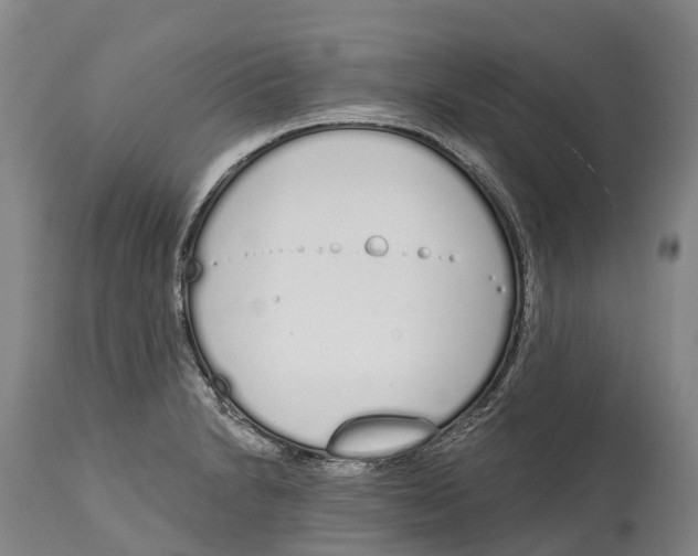 X0000115111230200911171257
