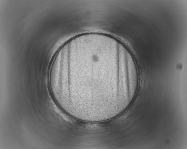 X0000115111231200911171257