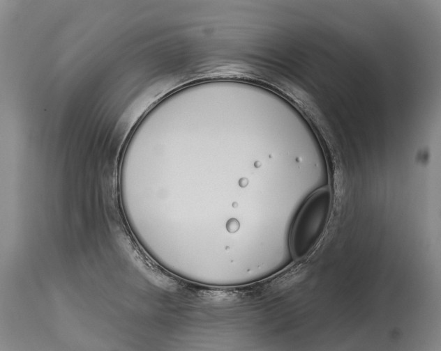X0000115111234200911171257