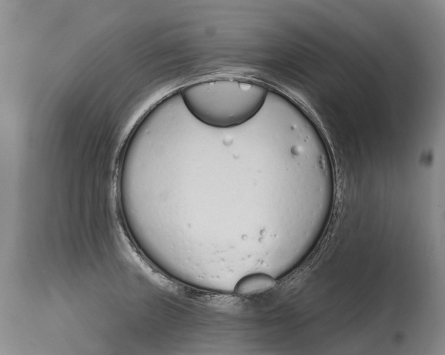 X0000115111235200911171257