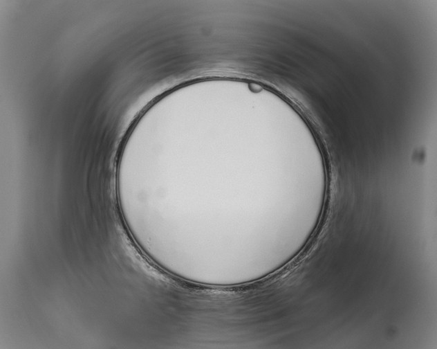X0000115111238200911171257