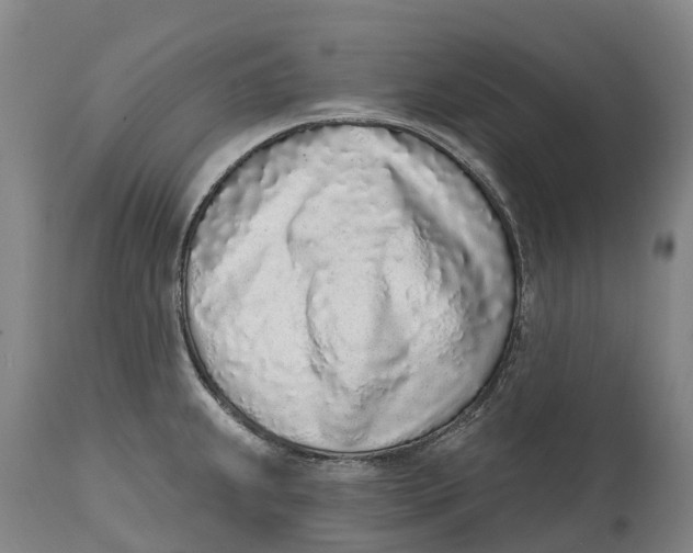 X0000115111239200911171257