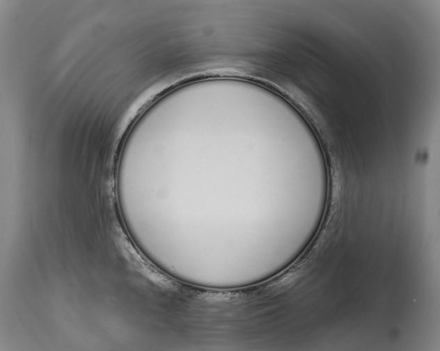 X0000115111240200911171257