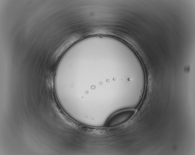 X0000115111241200911171257