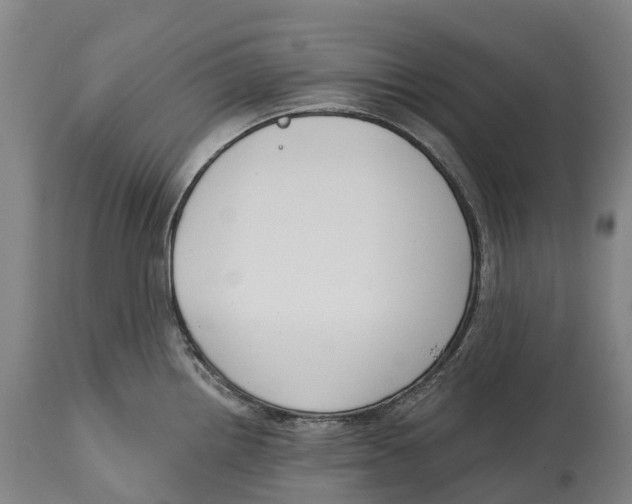 X0000115111242200911171257