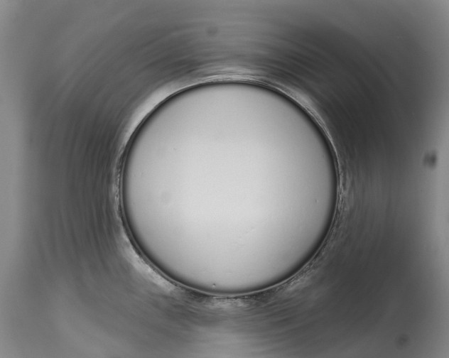 X0000115111243200911171257