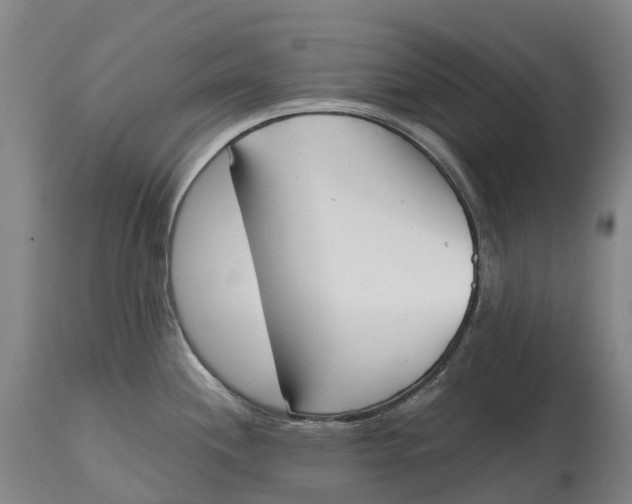 X0000115111244200911171258