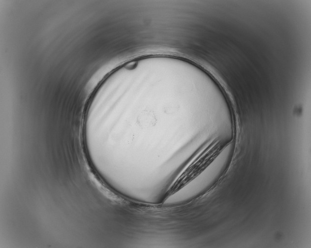 X0000115111245200911171258
