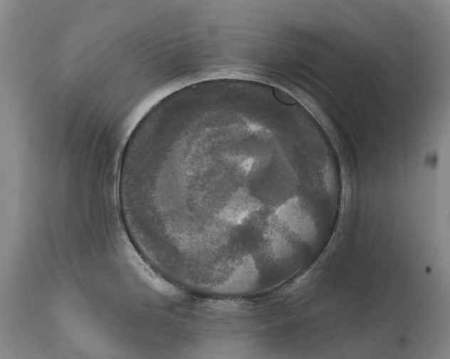 X0000115111246200911171258