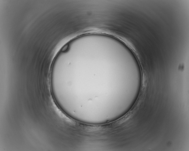 X0000115111247200911171258