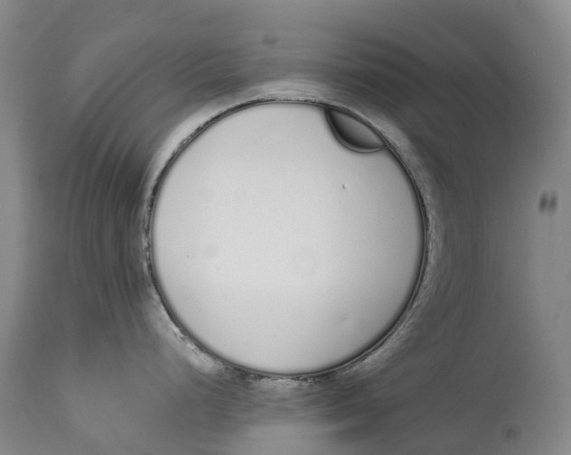 X0000115111248200911171258