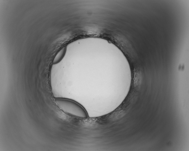 X0000115111249200911171257