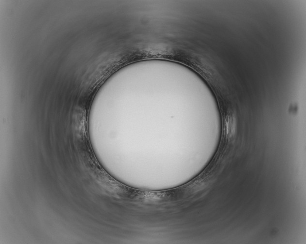 X0000115111251200911171257