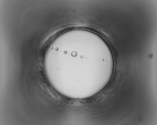 X0000115111255200911171257
