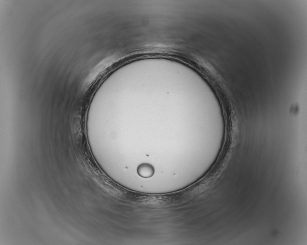 X0000115111259200911171257