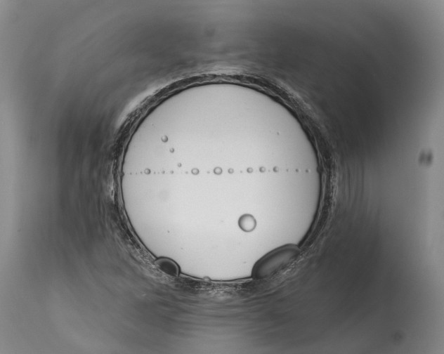 X0000115111262200911171257