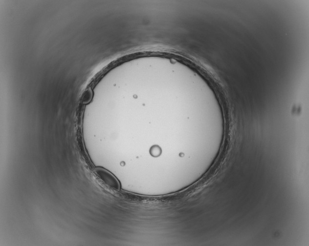 X0000115111264200911171257