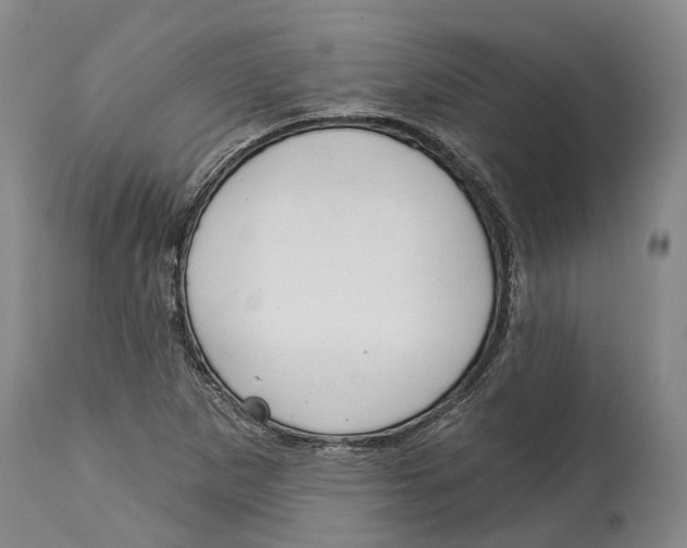 X0000115111265200911171257
