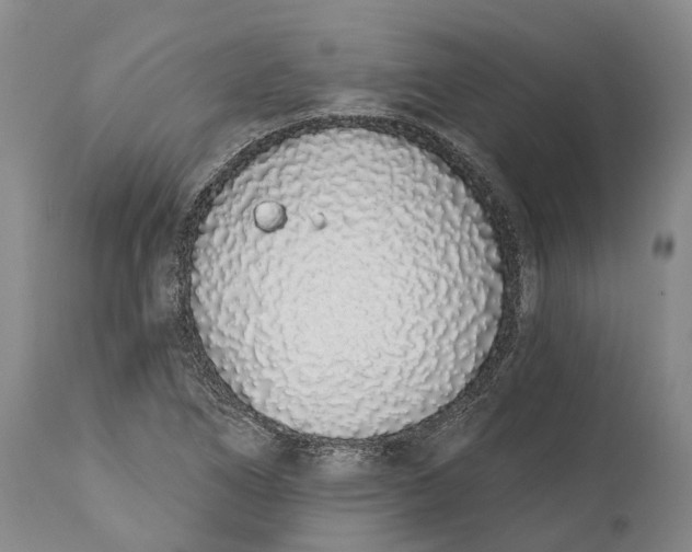 X0000115111266200911171257