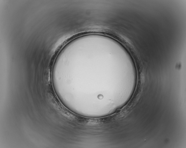 X0000115111267200911171257