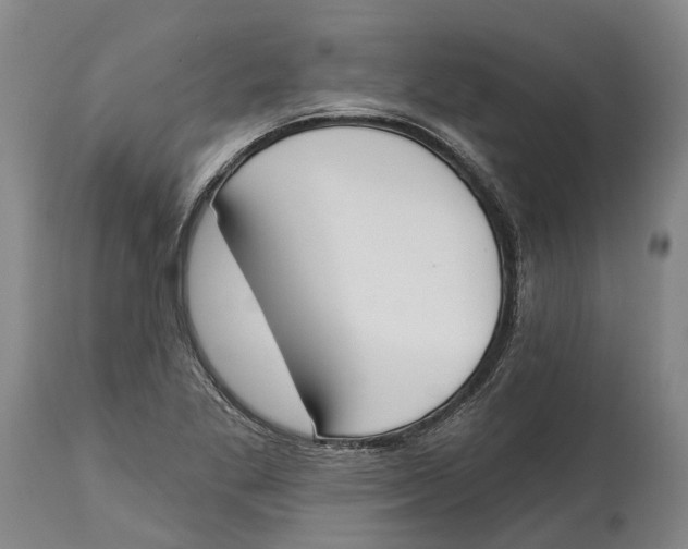 X0000115111269200911171256
