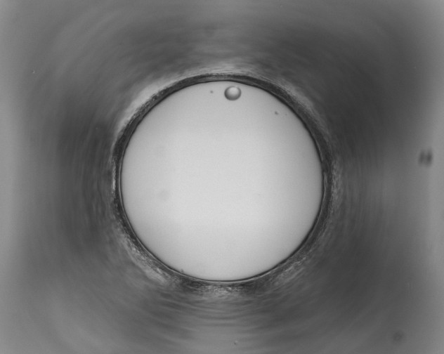 X0000115111270200911171256