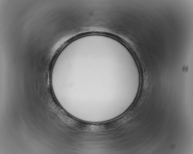 X0000115111271200911171256