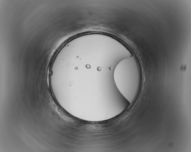 X0000115111272200911171256