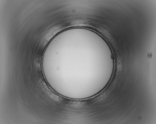X0000115111273200911171256