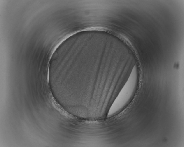X0000115111276200911171256
