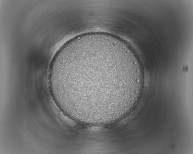 X0000115111278200911171256