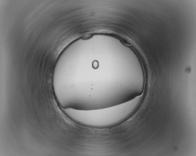 X0000115111281200911171256