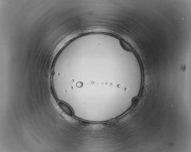X0000115111282200911171256