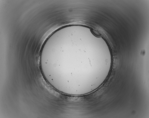 X0000115111284200911171256