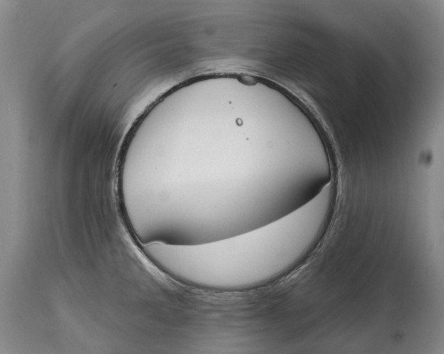 X0000115111285200911171256