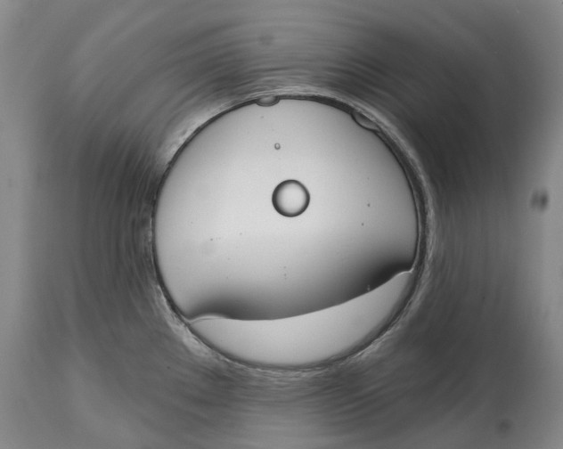 X0000115111289200911171256