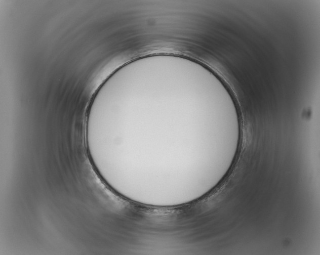 X0000115111290200911171256