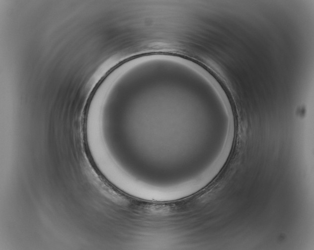 X0000115111291200911171256